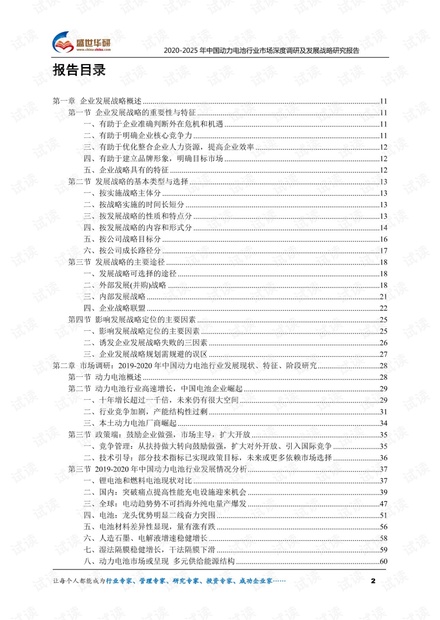 2020-2025年中国动力电池行业市场深度调研及发展战略研究报告.pdf