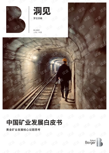 中国矿业发展白皮书——黄金矿业发展核心议题思考-罗兰贝格.pdf