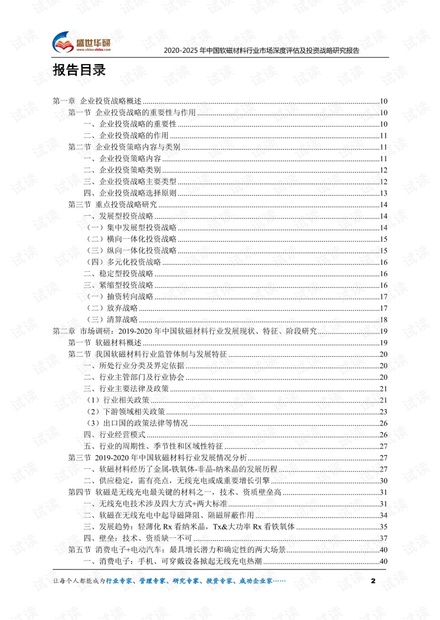 2020-2025年中国软磁材料行业市场深度评估及投资战略研究报告.pdf