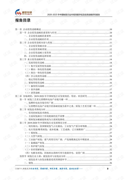 2020-2025年中国制氢行业市场深度评估及投资战略研究报告.pdf