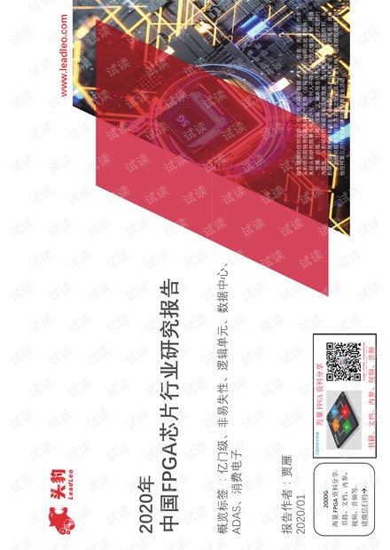 2020年中国FPGA芯片行业研究报告(分享版).pdf