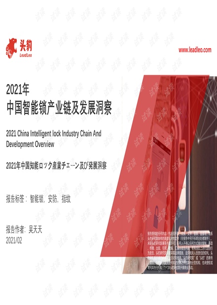 2021年中国智能锁产业链及发展洞察.pdf