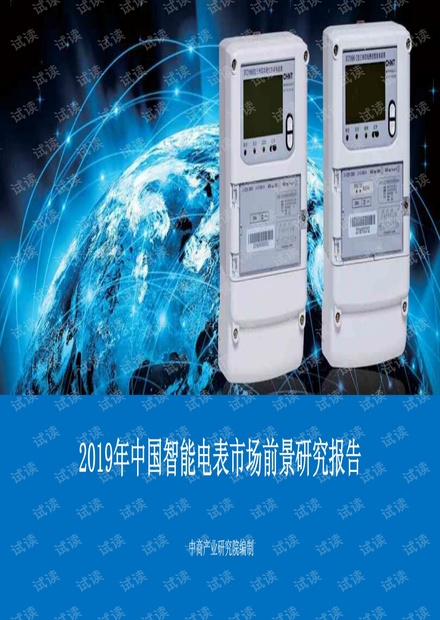 2019年中国智能电表市场前景研究报告.pdf