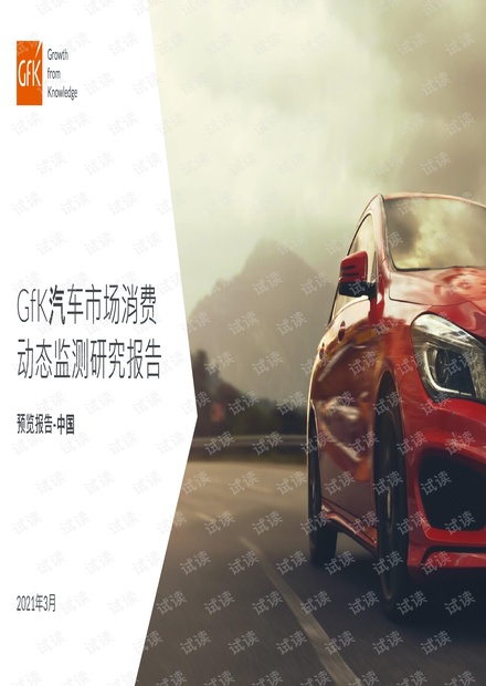 2021汽车市场消费动态监测研究报告.pdf