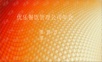 优乐餐饮管理公司年会策划方案年会精品模板文案.ppt
