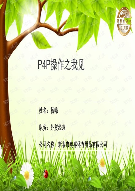 外贸系列之-p4p讲义-杨峰1125 外发版.pdf