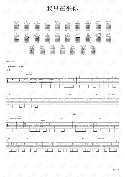 我只在乎你-指弹 .pdf