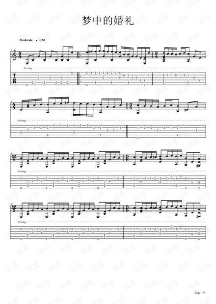 梦中的婚礼-指弹.pdf