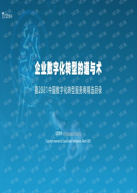2021年中国数字化转型服务商精选目录.pdf