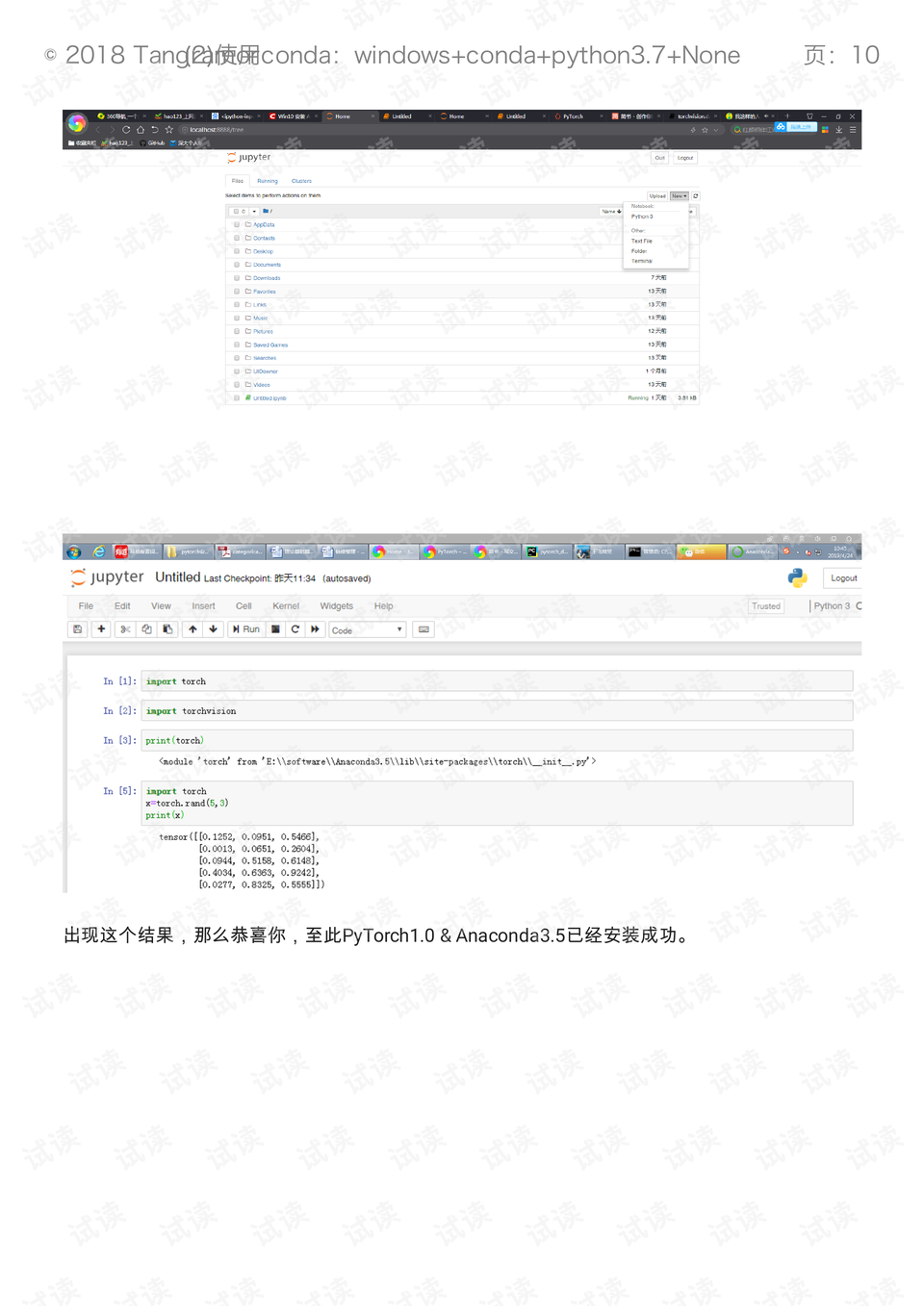 pytorch官方教程中文版.pdf