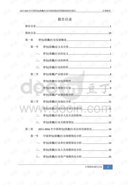 2017-2022年中国背包行业市场发展前景预测深度研究报告.pdf