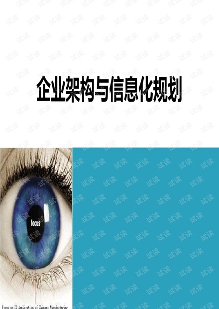 企业架构与信息化规划.pdf
