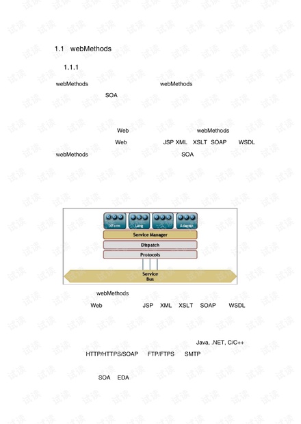 webMethods集成平台(SOFTAG).pdf
