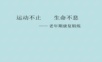 老年康复锻炼PPT课件.ppt