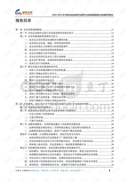 2020-2025年中国化妆品电商代运营行业发展战略制定与实施研究报告.pdf