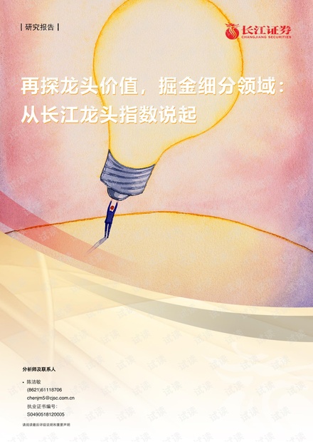 20210421-长江证券-再探龙头价值,掘金细分领域:从长江龙头指数说起.pdf