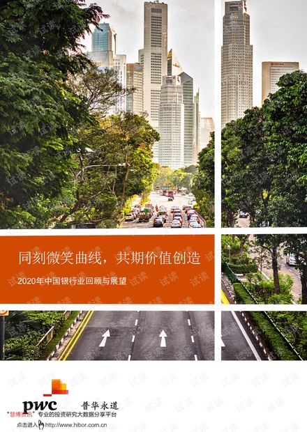 20210422-普华永道-2020年中国银行业回顾与展望:同刻微笑曲线,共期价值创造.pdf