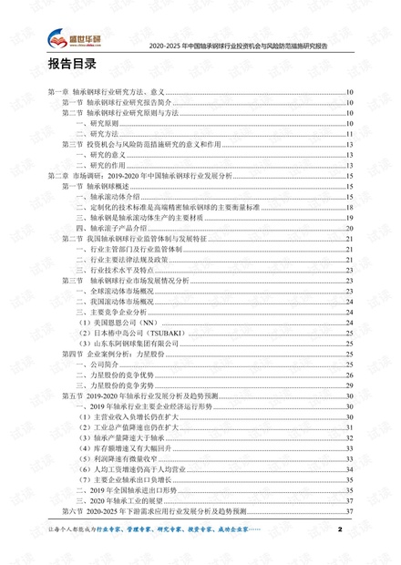 2020-2025年中国轴承钢球行业投资机会与风险防范措施研究报告.pdf