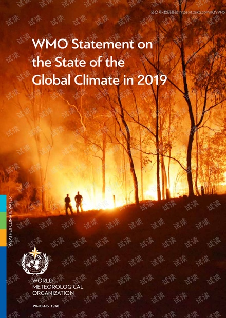 2019年全球气候状况(英文版).pdf