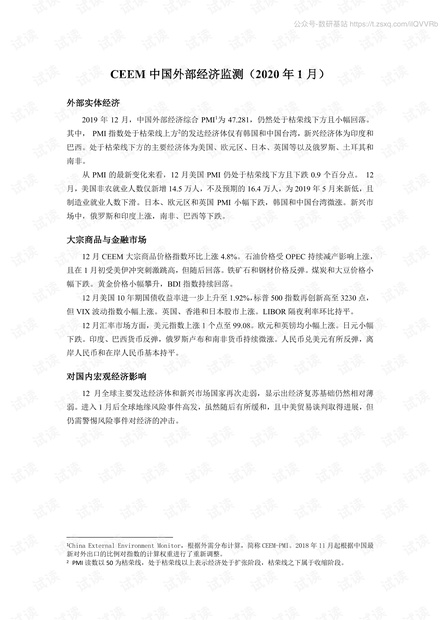 2020年1月中国外部经济监测.pdf