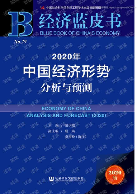 2020年中国经济形势分析与预测.pdf