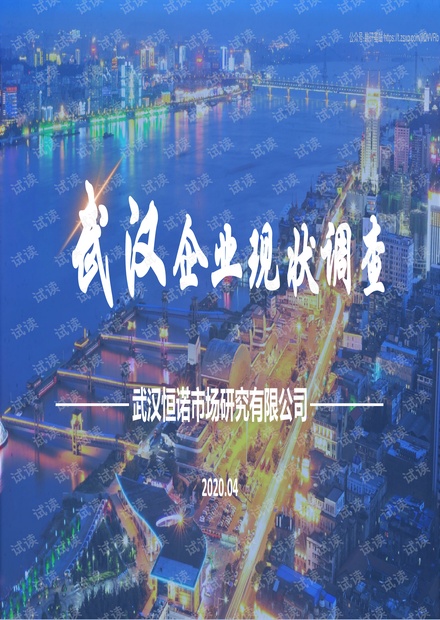 武汉企业现状调查报告-武汉恒诺-202004精品报告2020.pdf