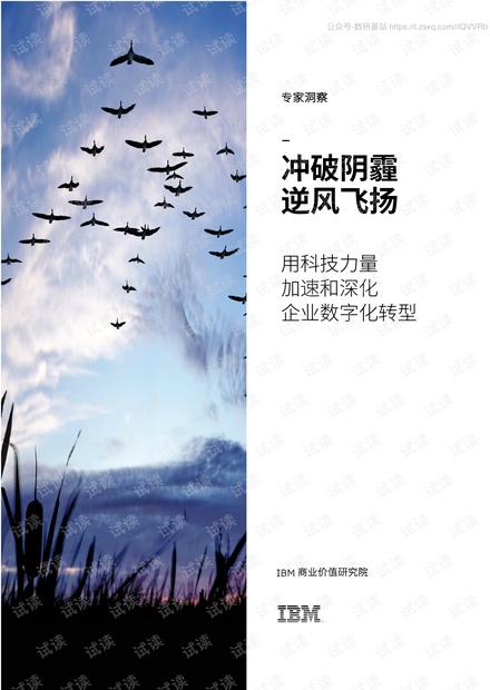 用科技力量加速和深化企业数字化转型:冲破阴霾,逆风飞扬精品报告2020.pdf