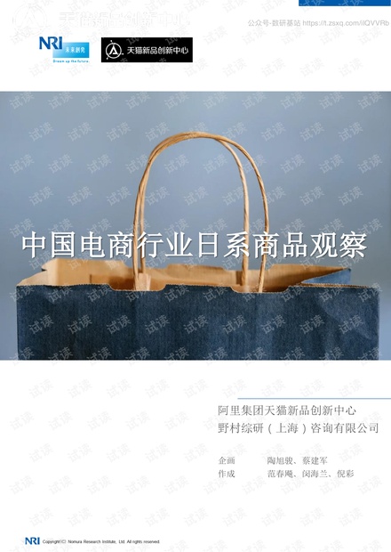 中国电商行业日系商品观察精品报告2020.pdf