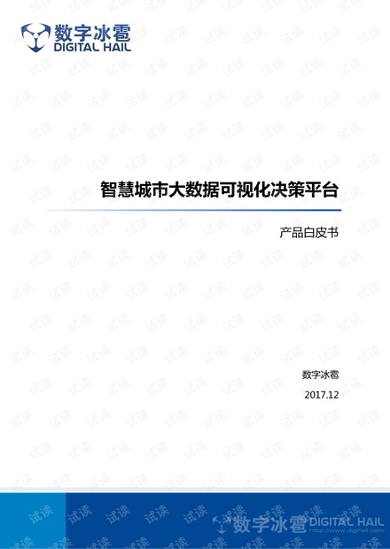 数字冰雹智慧城市大数据可视化决策平台.pdf