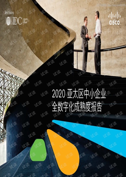 2020亚太区中小企业全数字化成熟度报告精品报告2020.pdf