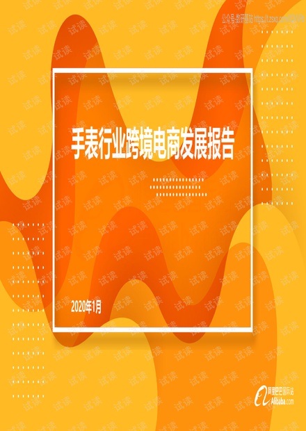 阿里巴巴国际站手表行业跨境电商发展报告精品报告2020.pdf