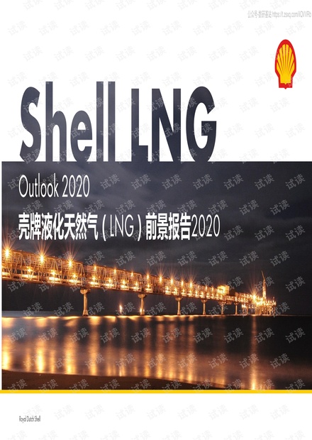 壳牌-2020液化天然气(LNG)前景报告-2020.2-37页精品报告2020.pdf