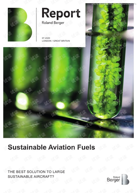 可持续航空燃料(英文版)精品报告2020.pdf