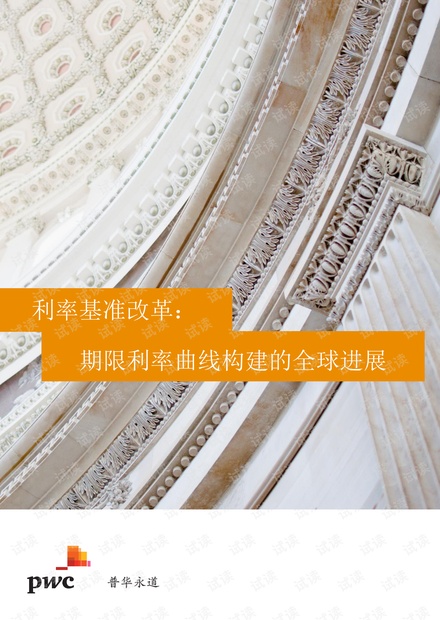 普华永道-利率基准改革:期限利率曲线构建的全球进展-2020.5-17页精品报告.pdf