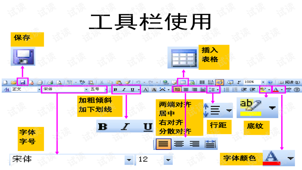 预览