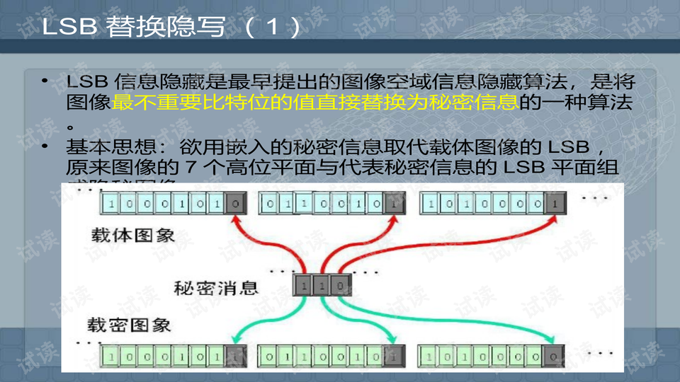 预览