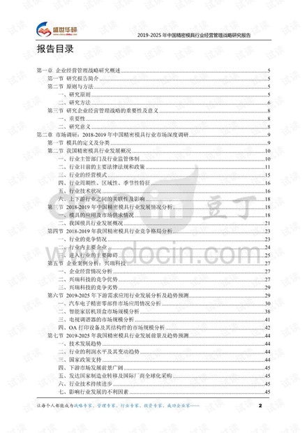 2019-2025年中国精密模具行业经营管理战略研究报告.pdf