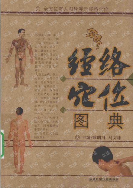 全方位真人经络穴位图典
