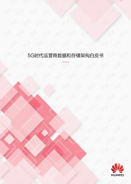 5G 时代运营商数据和存储架构白皮书.pdf