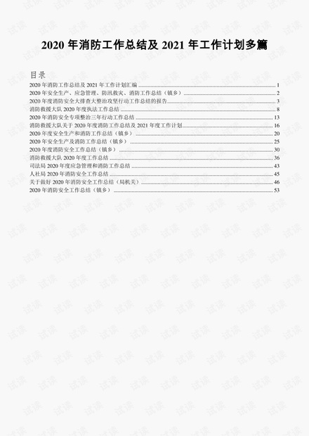 2020年消防工作总结及2021年工作计划多篇.pdf