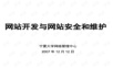 网站开发与网络安全与维护