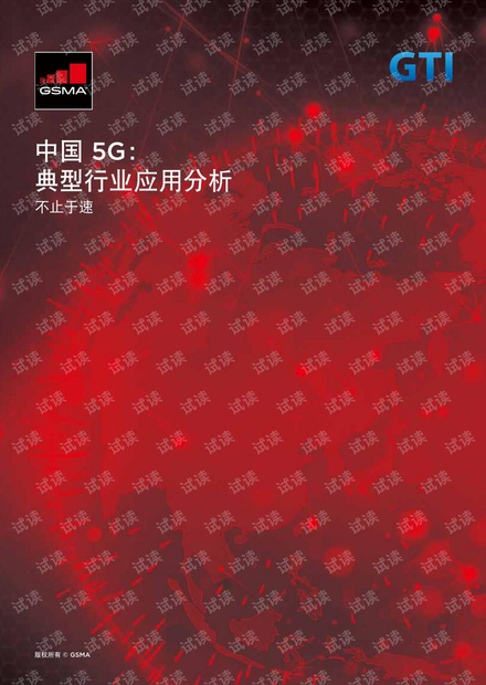 中国5G:典型行业应用分析.pdf