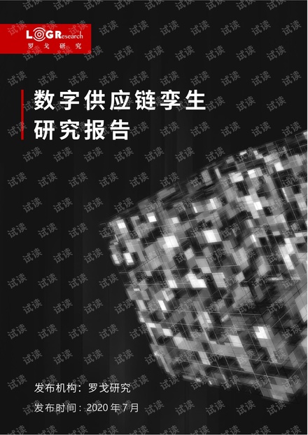数字供应链孪生研究报告2020.07.06..pdf