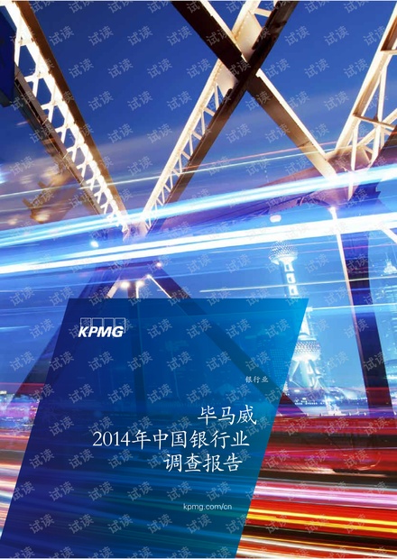 顶级投行、金融估值建模培训资料-中国银行业调查报告.pdf