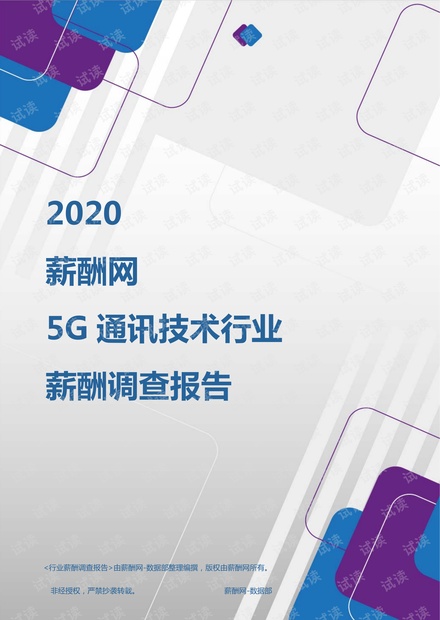 薪酬报告系列-2020年5G通讯技术行业薪酬调查报告.pdf