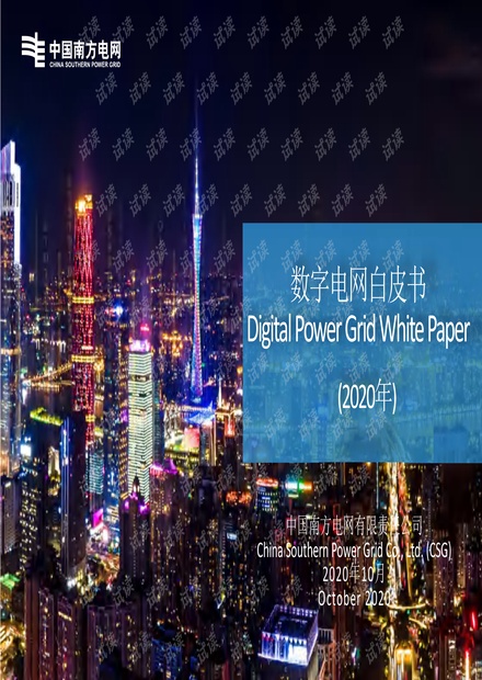 数字电网白皮书.pdf