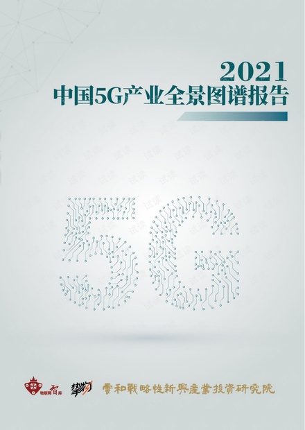2021年中国5G产业全景图谱-物联网智库.pdf