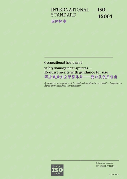 ISO 45001-2018 职业健康安全管理体系 - 要求及使用指南 - 完整中文翻译版(30页).pdf