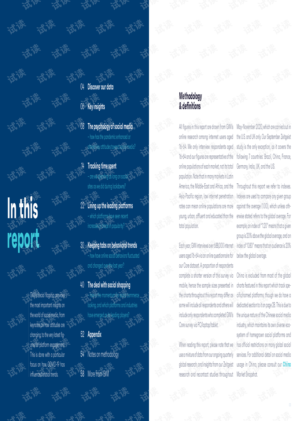 0002-5ea0e0d4795ee9bb4459c152def463c1_preview.png