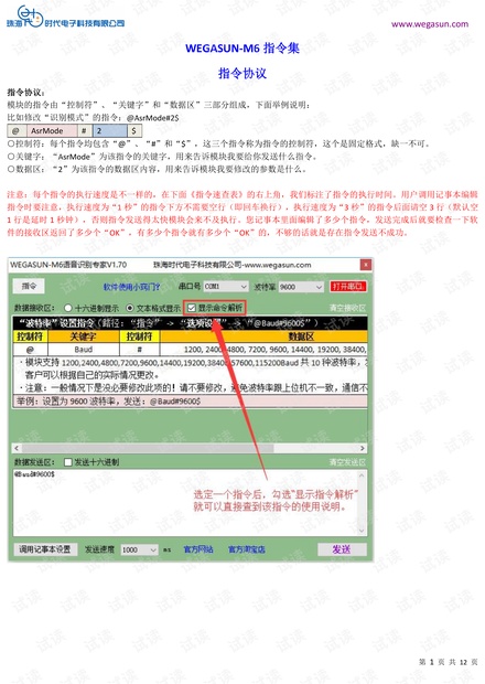 【02】WEGASUN-M6指令集(注意:请先看完视频教程,否则很难理解。).pdf